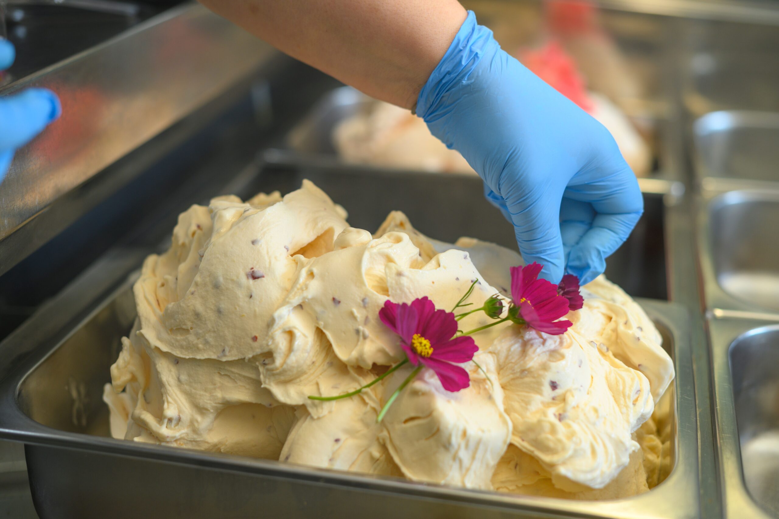 Venchi Gelateria & Creperie