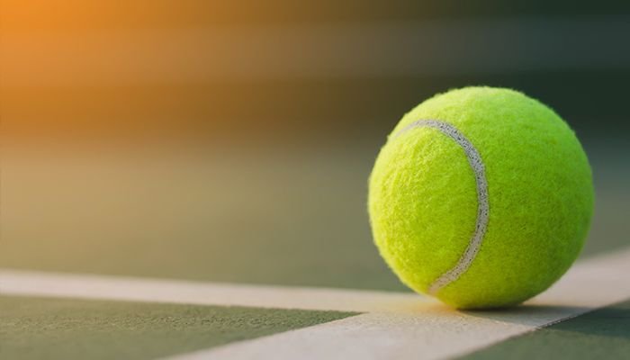 Paddle Tennis Court